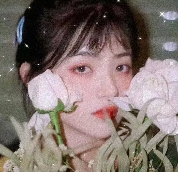 圣诞倾情